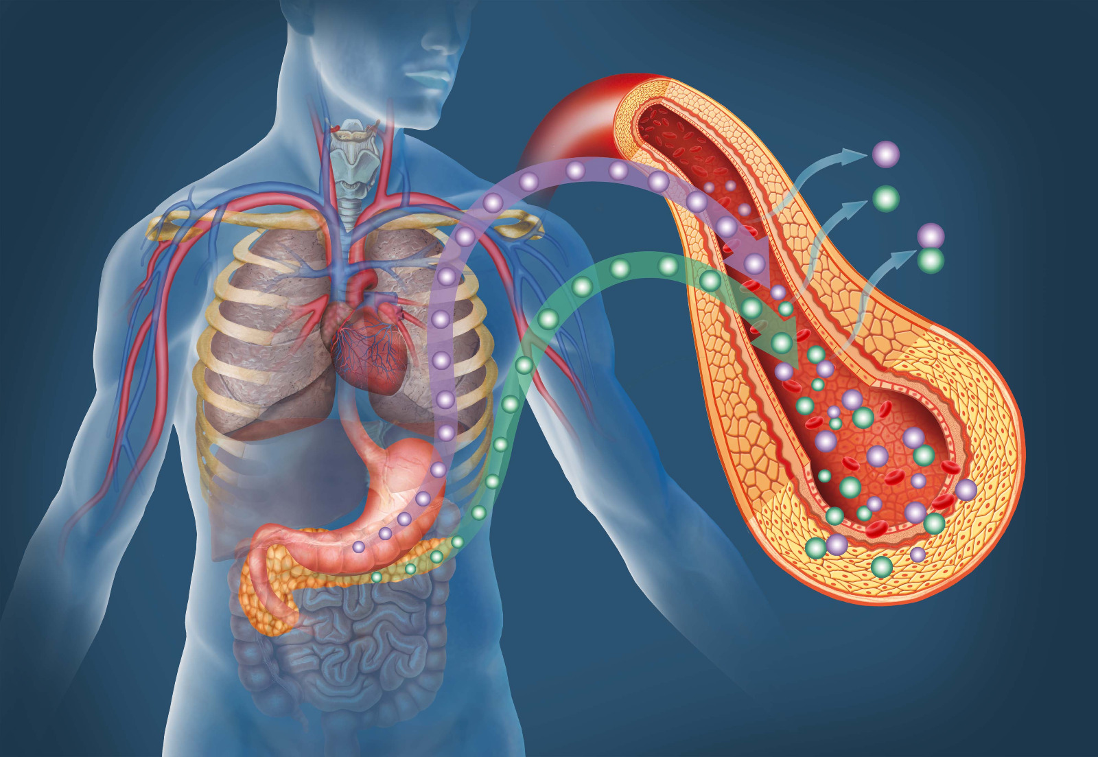 Infografías sobre diabetes